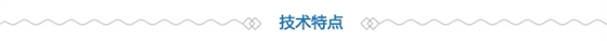 技術(shù)特點(diǎn)