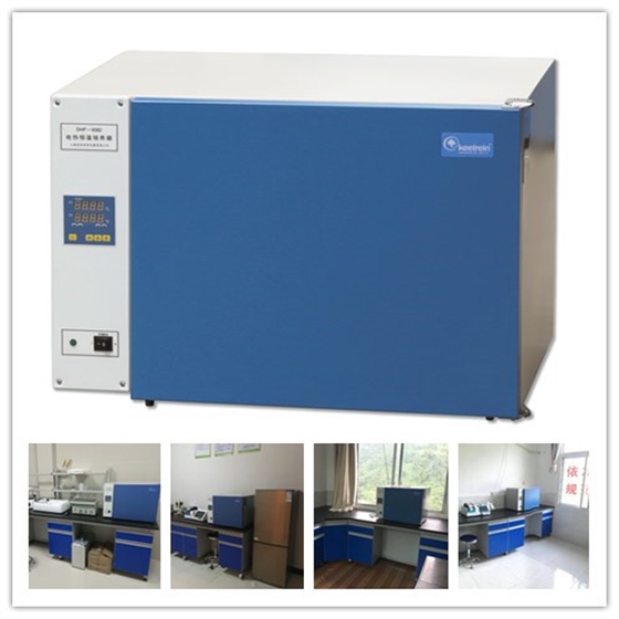 鼓風(fēng)干燥箱