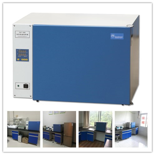 鼓風(fēng)干燥箱