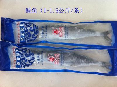 青島海鮮盛宴，禮遇四方 城陽海產品禮盒批發采購全指南