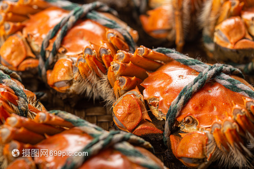 螃蟹 海洋的甲殼舞者